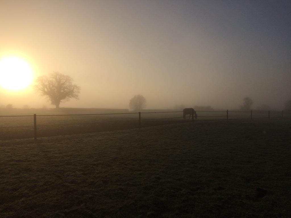 Great Ashley Farm Bed And Breakfast & Shepherds Huts Bradford-On-Avon Zewnętrze zdjęcie